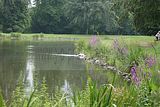 schlosspark-gotha-2009-081
