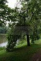 schlosspark-gotha-2009-091