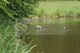 schlosspark-gotha-2009-092