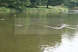schlosspark-gotha-2009-093