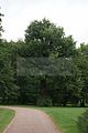 schlosspark-gotha-2009-099
