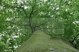 schlosspark-gotha-2009-105