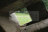 schlosspark-gotha-2009-108