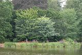 schlosspark-gotha-2009-110