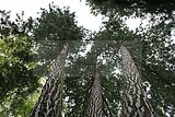 schlosspark-gotha-2009-112