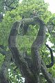 schlosspark-gotha-2009-116
