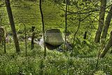 wald_sonnenuntergang_01