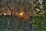 wald_sonnenuntergang_13