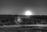 wald_sonnenuntergang_15