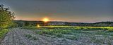 wald_sonnenuntergang_17