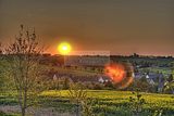 wald_sonnenuntergang_19