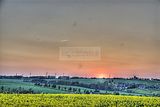 wald_sonnenuntergang_29