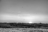 wald_sonnenuntergang_30