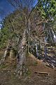 spitterfall_tambach_dietharz_02_12_2017_hdr_16