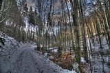 spitterfall_tambach_dietharz_02_12_2017_hdr_26