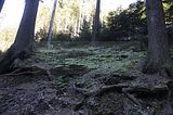 spitterfall_tambach_dietharz_02_12_2017_14