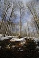 spitterfall_tambach_dietharz_02_12_2017_41