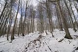 spitterfall_tambach_dietharz_02_12_2017_43