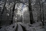 spitterfall_tambach_dietharz_02_12_2017_50