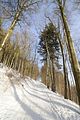 tabarz_01_2017_01