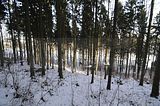 tabarz_01_2017_06