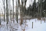 tabarz_01_2017_07