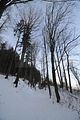 tabarz_01_2017_12