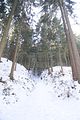 tabarz_01_2017_16
