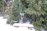 tabarz_01_2017_22