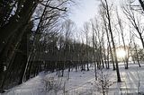 tabarz_01_2017_26