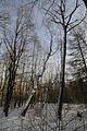 tabarz_01_2017_27