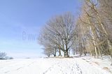 tabarz_01_2017_30