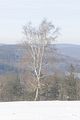 tabarz_01_2017_35