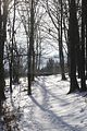 tabarz_01_2017_37