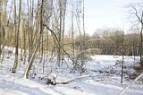 tabarz_01_2017_38