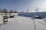 tabarz_01_2017_42