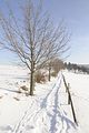 tabarz_01_2017_46