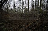 weimar_nach_apolda_11_2017_07