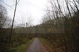 weimar_nach_apolda_11_2017_14