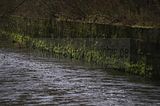 weimar_nach_apolda_11_2017_15
