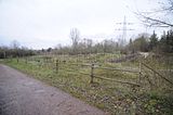 weimar_nach_apolda_11_2017_17