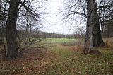 weimar_nach_apolda_11_2017_23