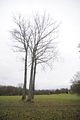 weimar_nach_apolda_11_2017_24