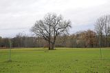 weimar_nach_apolda_11_2017_25