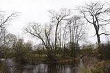 weimar_nach_apolda_11_2017_31