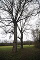 weimar_nach_apolda_11_2017_33