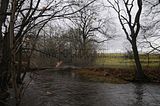 weimar_nach_apolda_11_2017_34