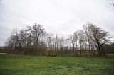weimar_nach_apolda_11_2017_36