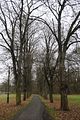 weimar_nach_apolda_11_2017_40