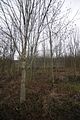 weimar_nach_apolda_11_2017_52